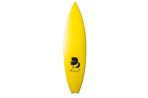 Karl L surfboard