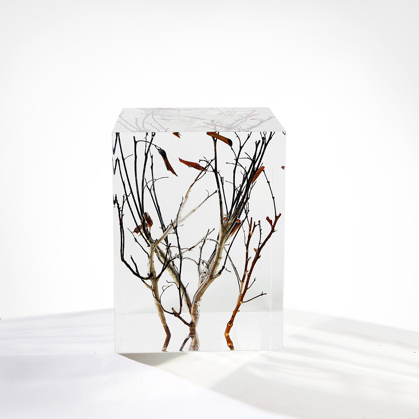 Branch Square Stool