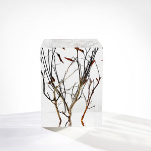 Branch Square Stool