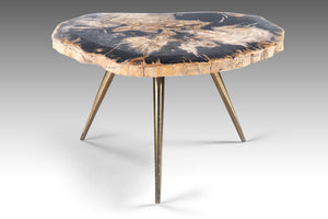 Petro Petrified Wood Coffee Table