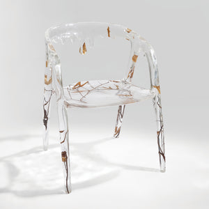 Aquatic Hermit Chair (Transparent)