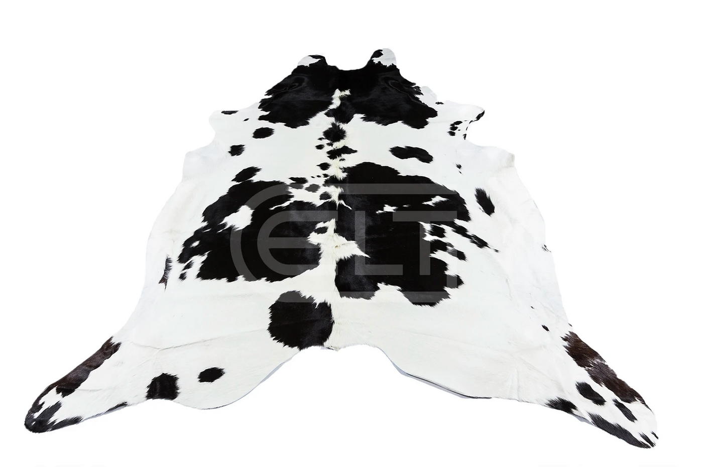 FRIESIAN WHITE COW PRINT