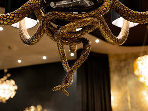 Serpentine Chandelier