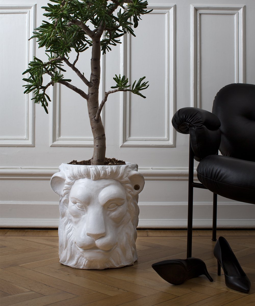 White Lion Pot Big